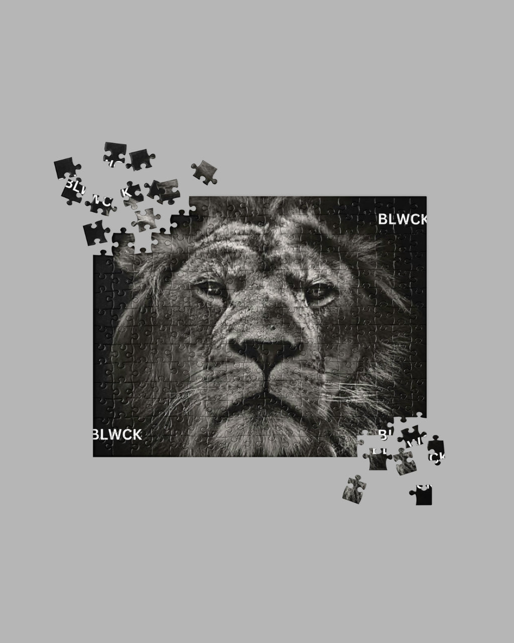 Jigsaw puzzle