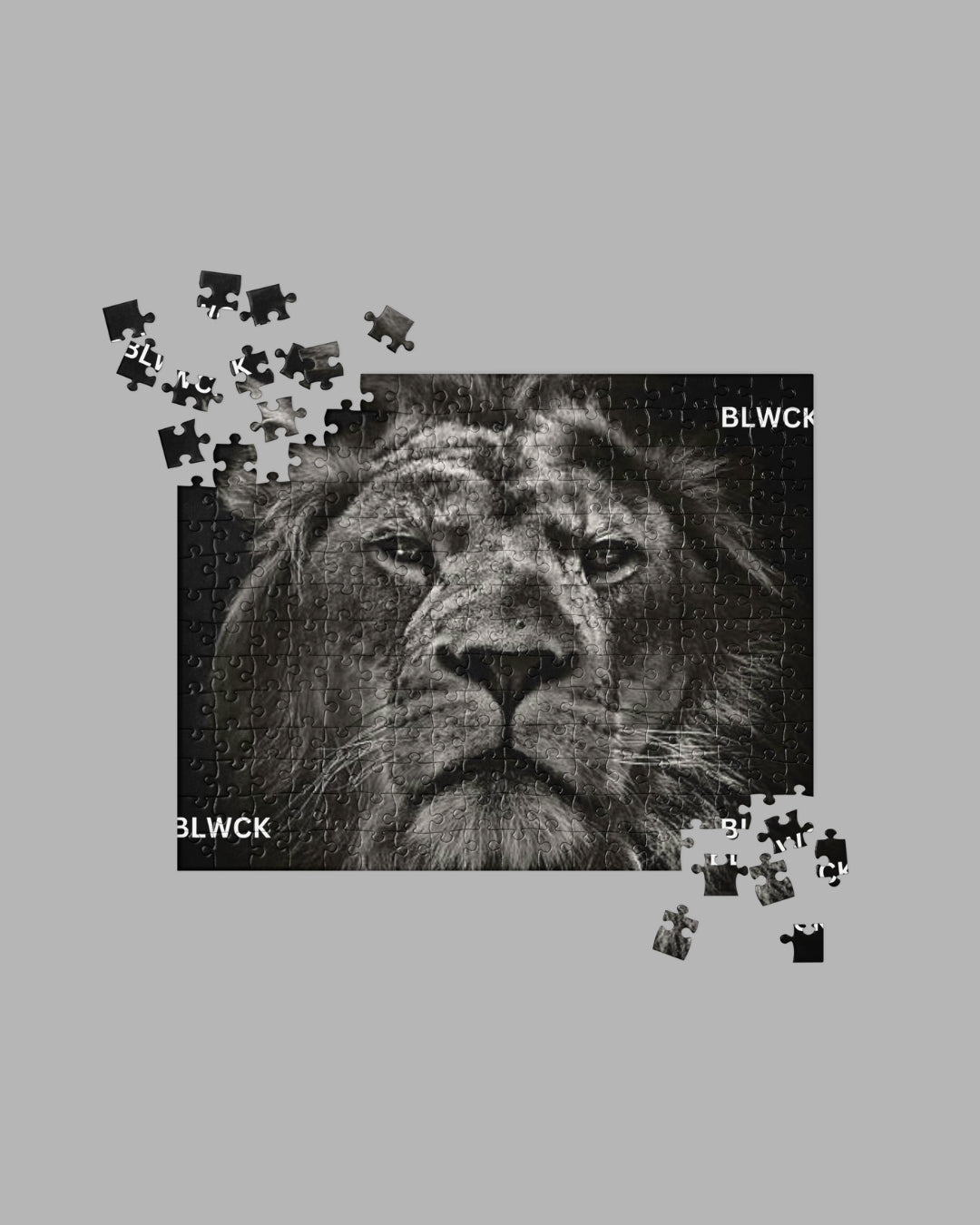 Jigsaw puzzle