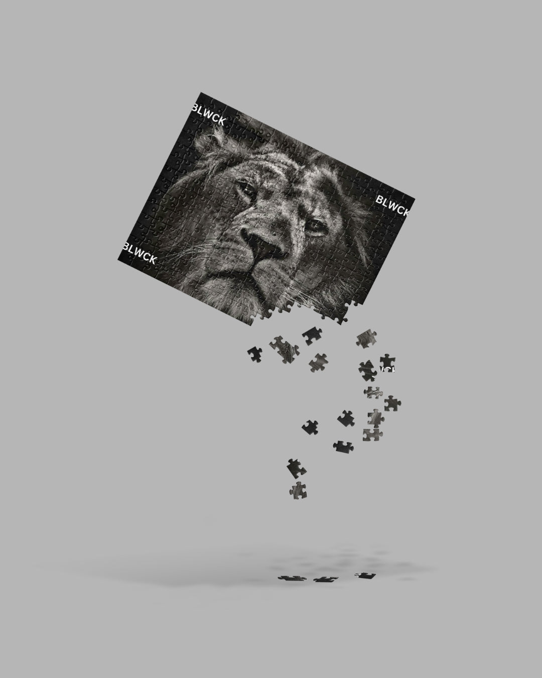 Jigsaw puzzle