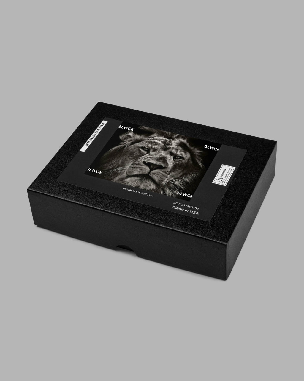 Jigsaw puzzle