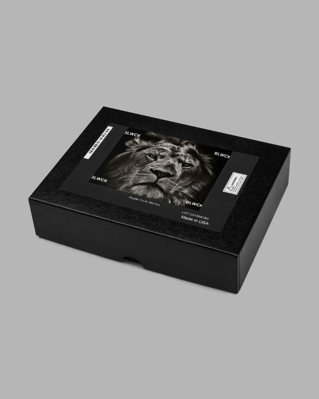 Jigsaw puzzle