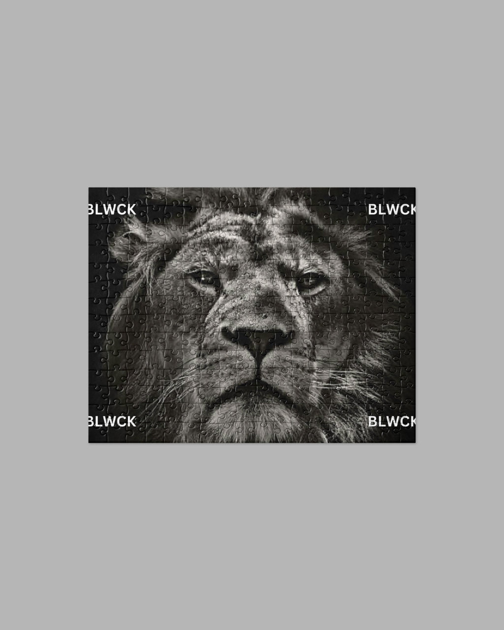 Jigsaw puzzle
