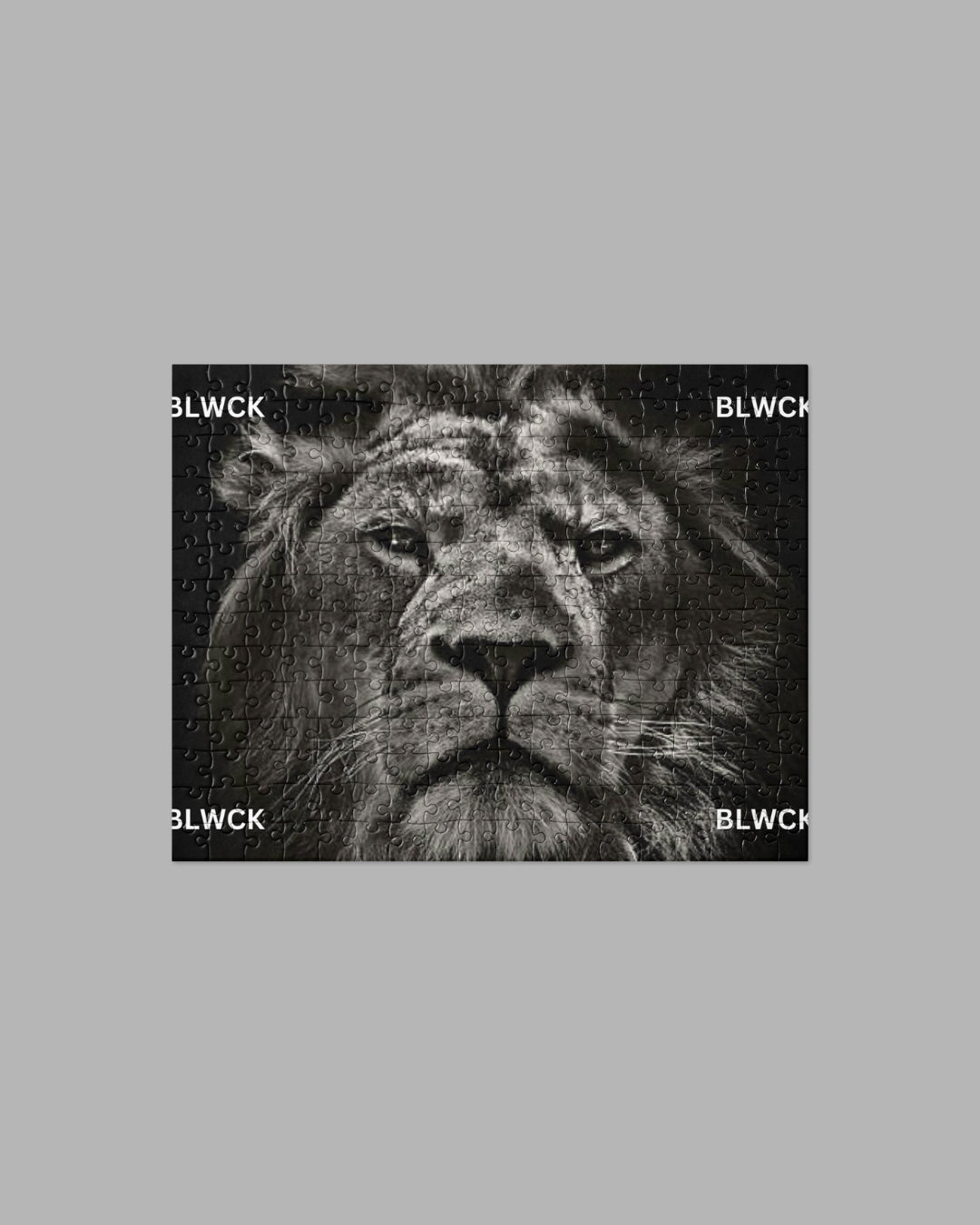 Jigsaw puzzle